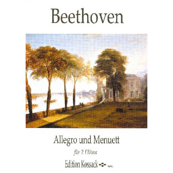 Allegro und Menuett