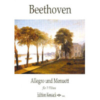Allegro und Menuett