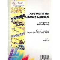 Ave Maria pour instrument en sib