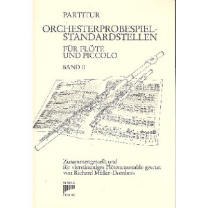 Orchesterprobespiel-Standardstellen