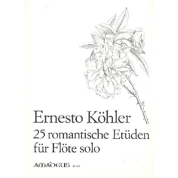 25 romantische Etüden op.66