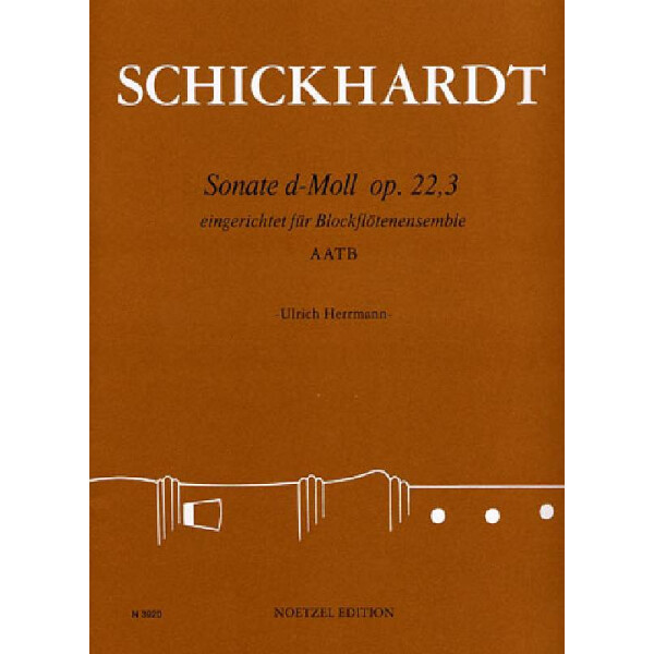 Sonate d-Moll op.22,3