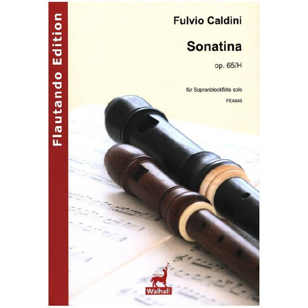 Sonatina op.65/H