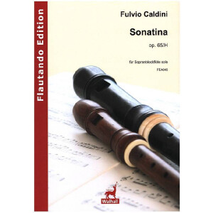 Sonatina op.65/H
