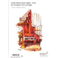 Schafe können sicher weiden