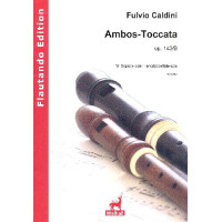 Ambos Toccata op.143b