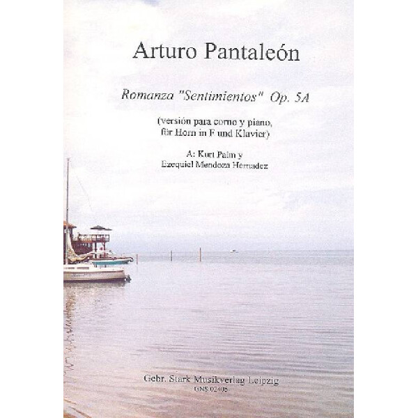Romanza Sentimientos op.5a