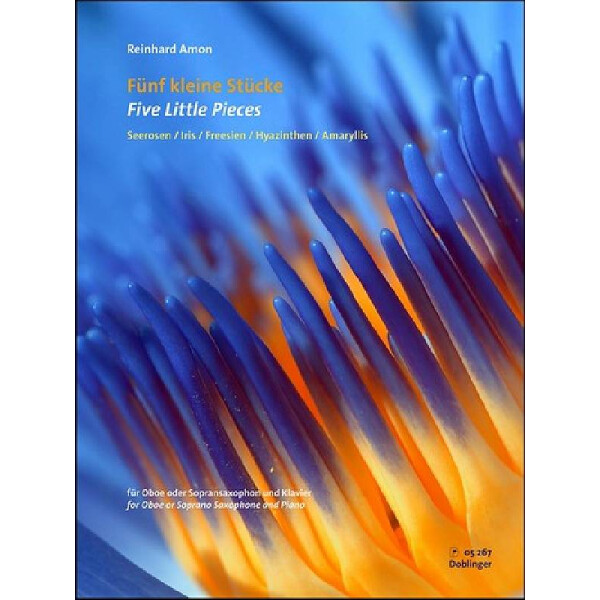 5 kleine Stücke