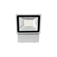 Eurolite LED IP FL-100 6400K