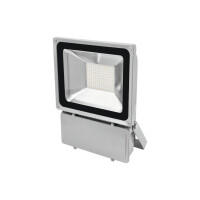 Eurolite LED IP FL-100 3000K