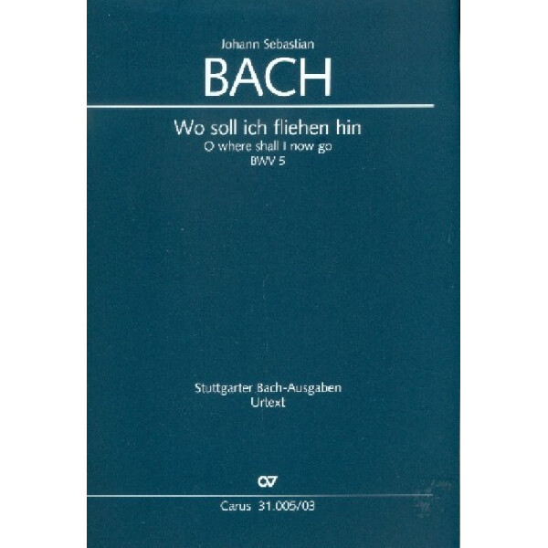 Wo soll ich fliehen hin