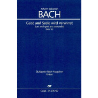 Geist und Seele wird verwirret