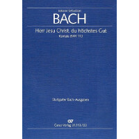 Jerr Jesu Christ du höchstes Gut