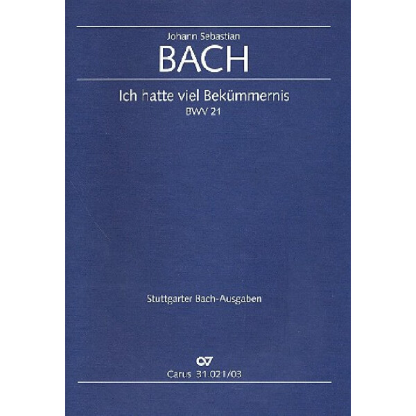 Ich hatte viel Bekümmernis