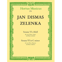 Sonate c-Moll Nr.6 ZWV181,6