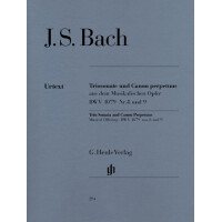 Triosonate und Canon perpetuus