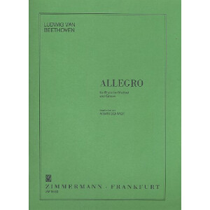 Allegro f&uuml;r Viola (Violine)