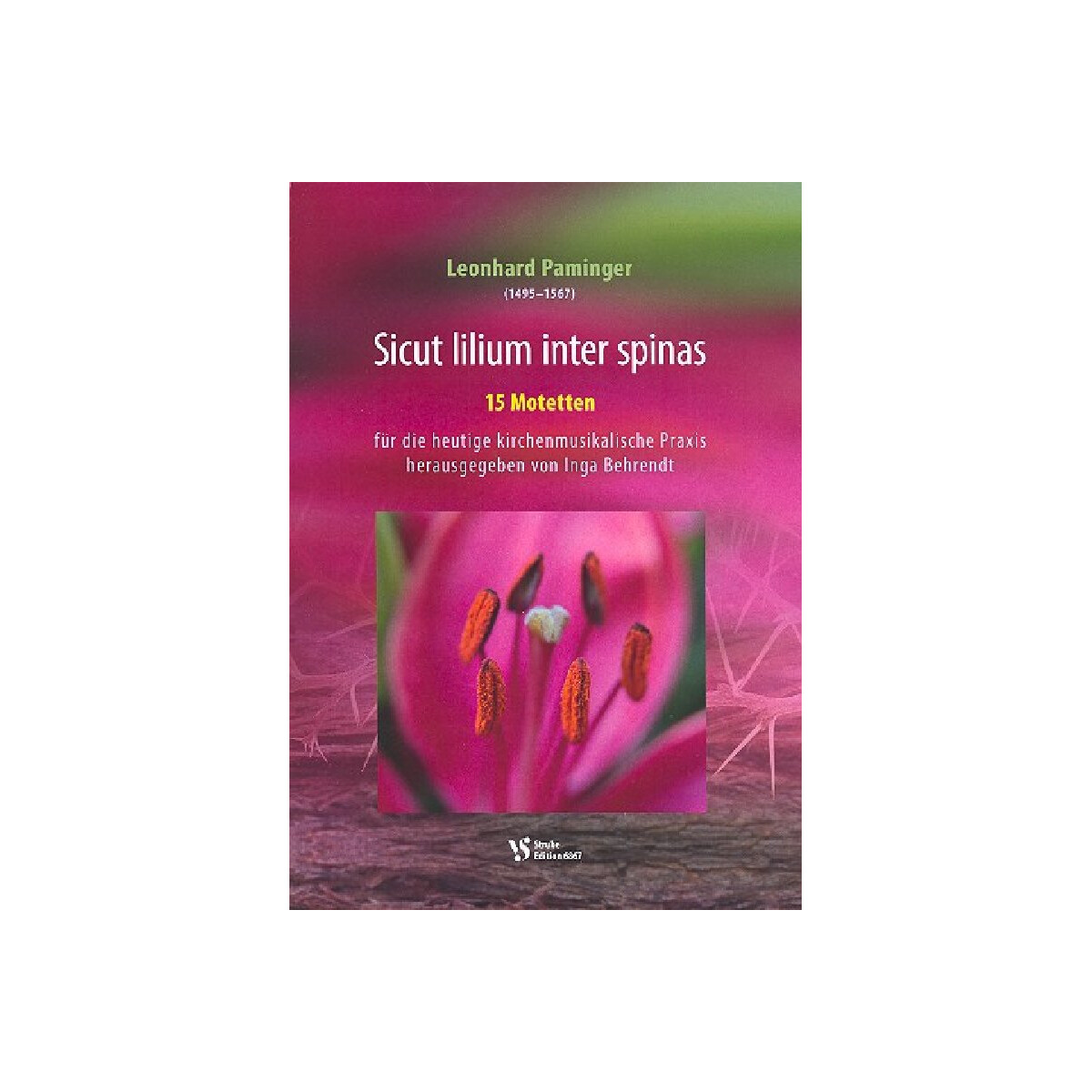 Sicut lilium inter spinas