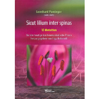 Sicut lilium inter spinas
