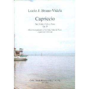 Capriccio op.29
