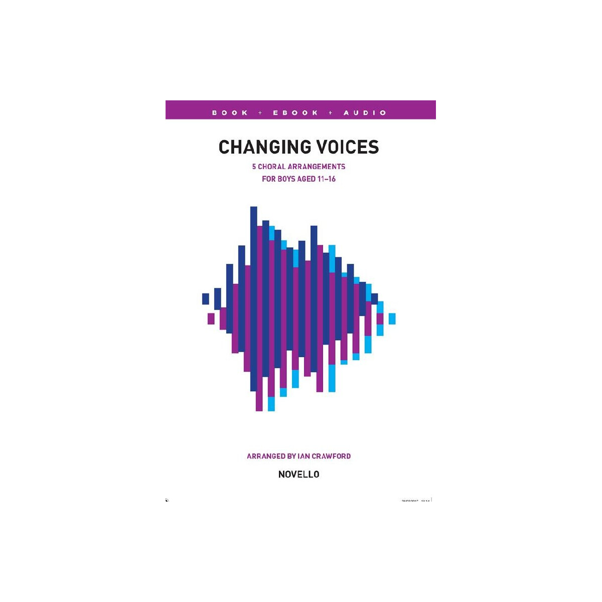 Changing Voices - Songs for Boys (+Online Audio)
