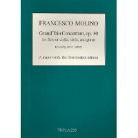 Grand Trio Concertanto op.30