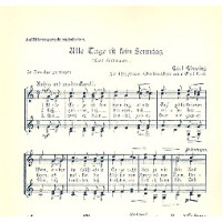 Alle Tage ist kein Sonntag