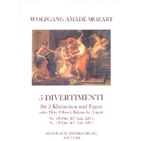 5 Divertimenti