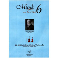 Musik im Trio Band 6