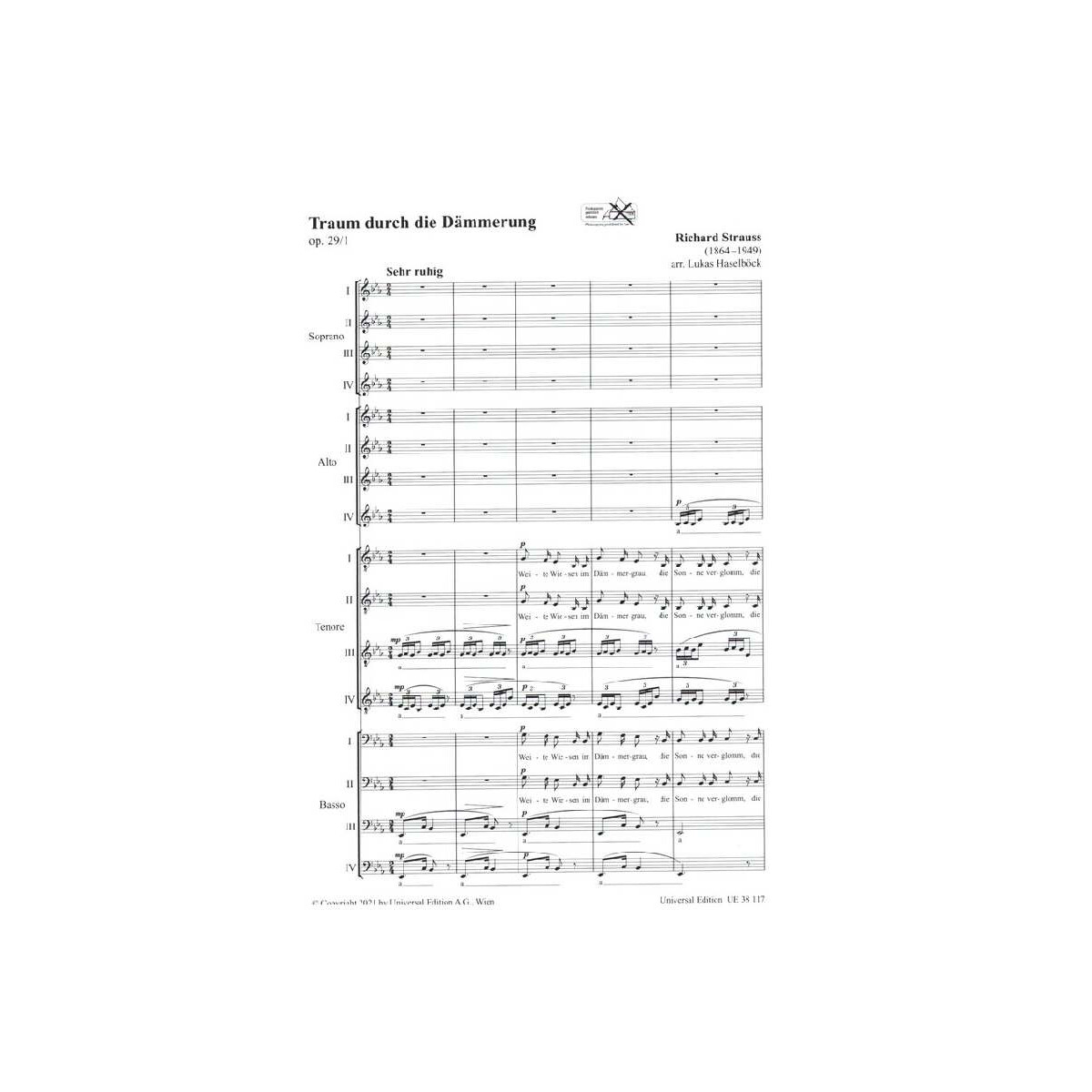 Traum durch die Dämmerung op.29,1