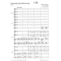 Traum durch die Dämmerung op.29,1