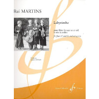 Labyrinthe pour flute (jouant ut et sol)