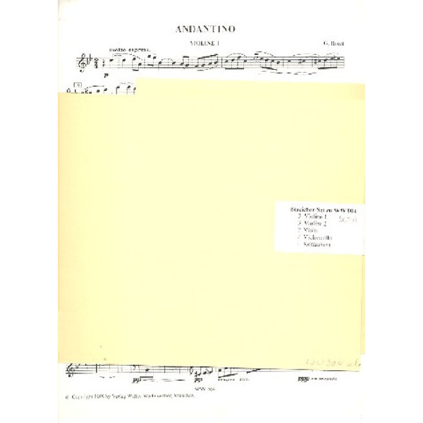 Andantino für Streichorchester