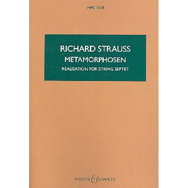 Metamorphosen Studie für 23 Solo-