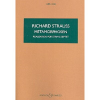 Metamorphosen Studie für 23 Solo-